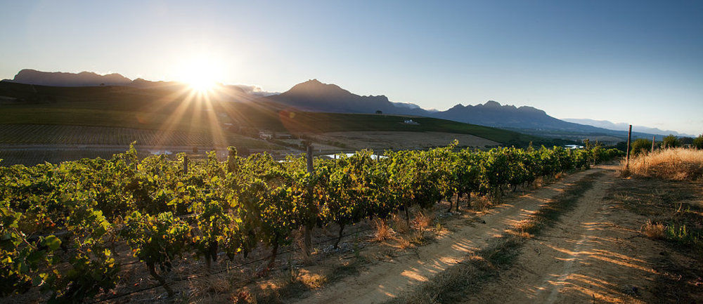 Hotel Brenaissance Wine & Stud Estate Stellenbosch Exteriér fotografie