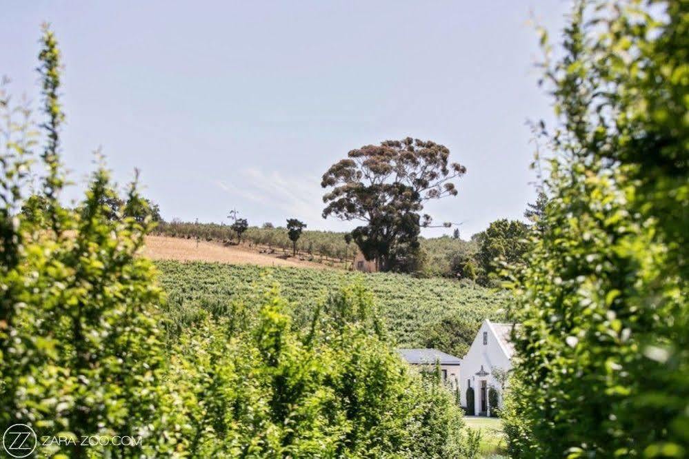 Hotel Brenaissance Wine & Stud Estate Stellenbosch Exteriér fotografie