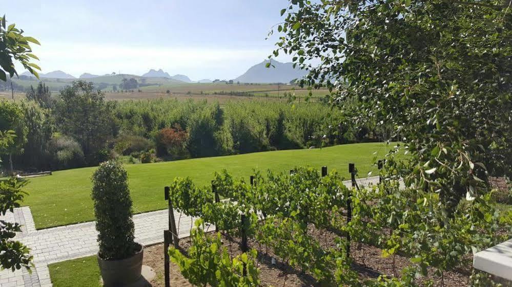 Hotel Brenaissance Wine & Stud Estate Stellenbosch Exteriér fotografie